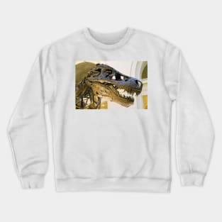 Sue! Crewneck Sweatshirt